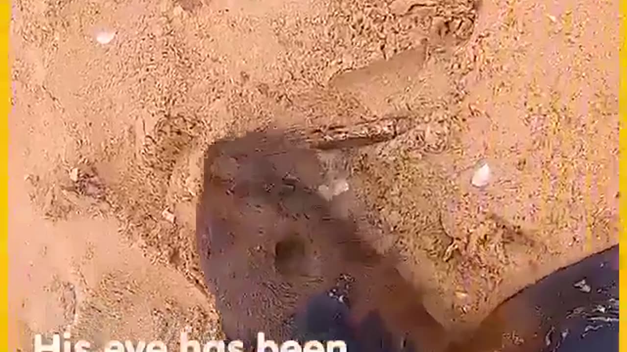 Saving lives at the right time