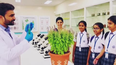 तुलसी मां प्यारी तुलसी मां तुलसी पूजन दिवस विशेष