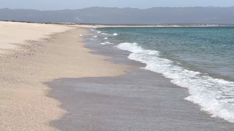 Investigación sobre la Histamina y el Metabolismo