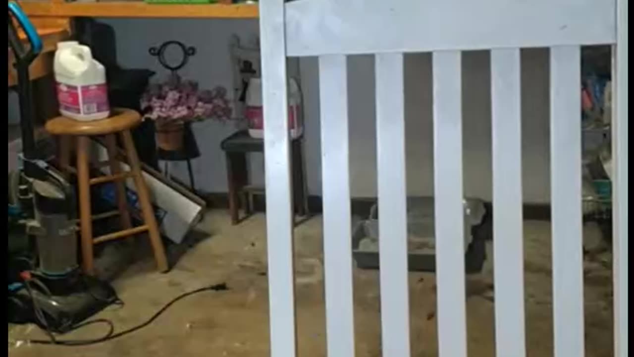 MFW live again 6-26-2025