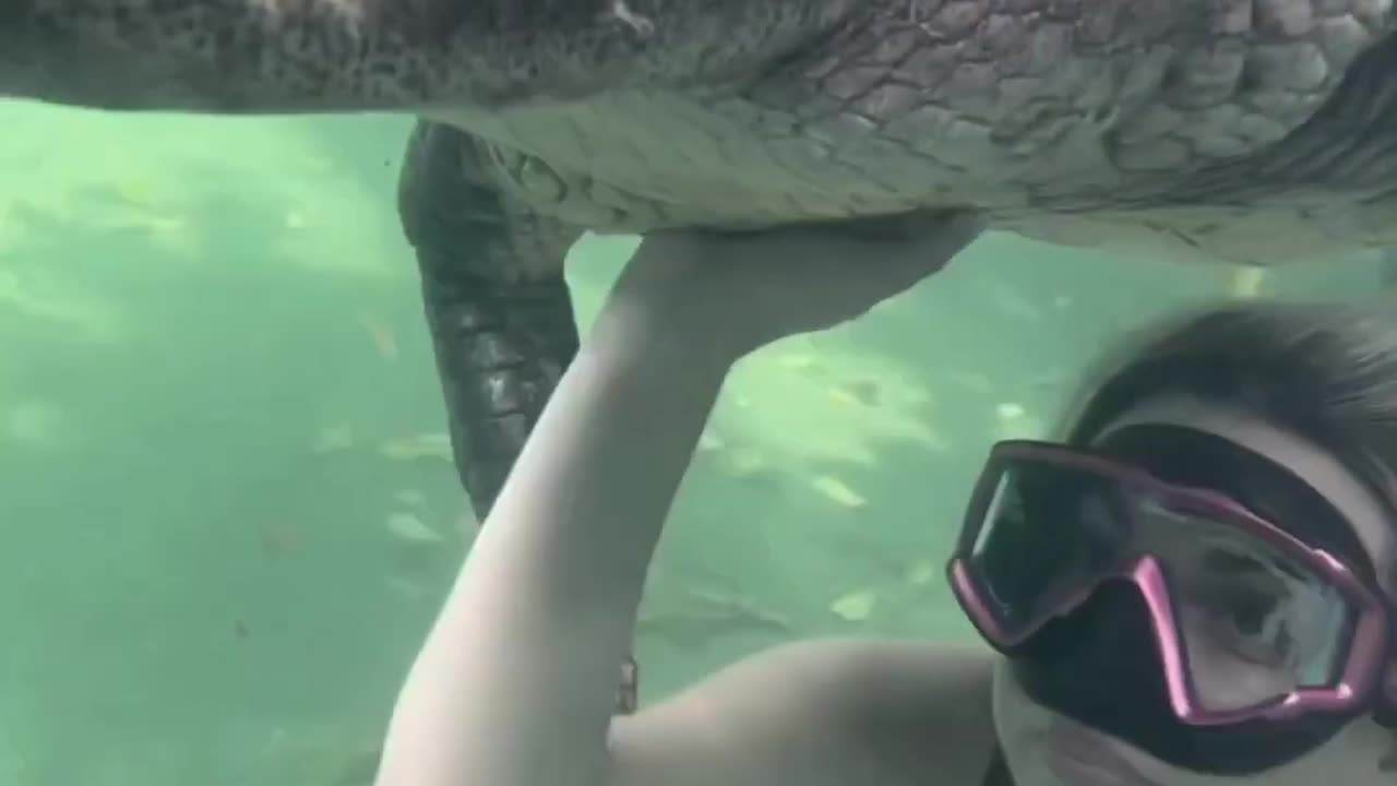 tiktok dance challenge