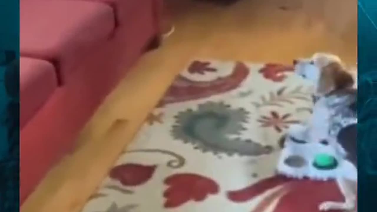 😱👻 You Won't Believe What They Caught on Camera! Grandpa's Ghostly Visit | TheHauntingHour