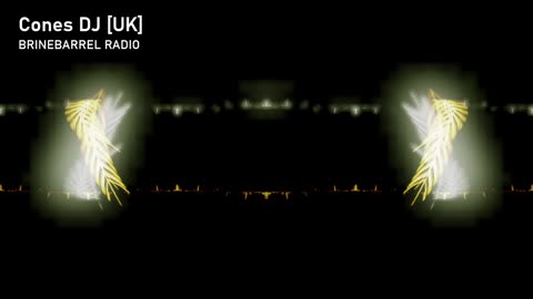 BRINEBARREL RADIO | Goblins Forever! | TECH HOUSE MINIMAL BASS CHUNKY