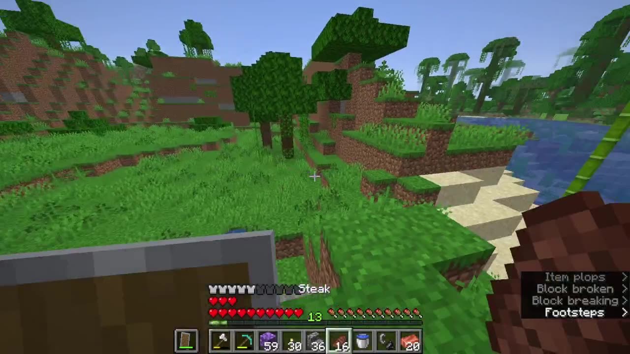 Minecraft Crowd control