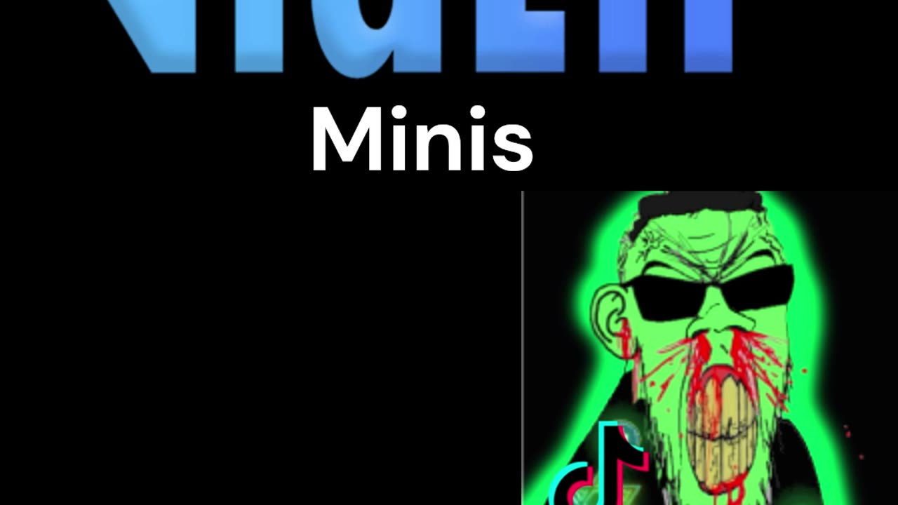 VIDLII MINIS IS THE BEST #minis
