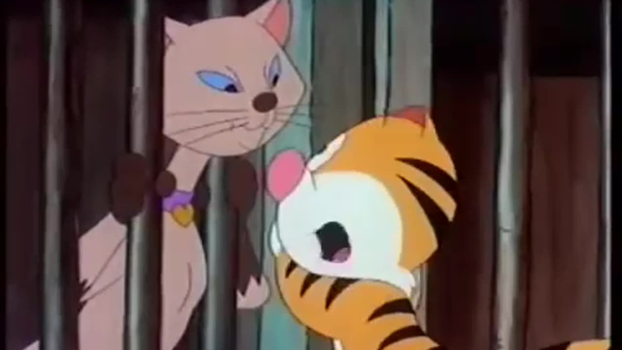 Billy the cat EP 4 🎬✨❤️ ⏰