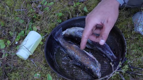 13 Day Wilderness Adventure on Wild River and Inland Sea _part7