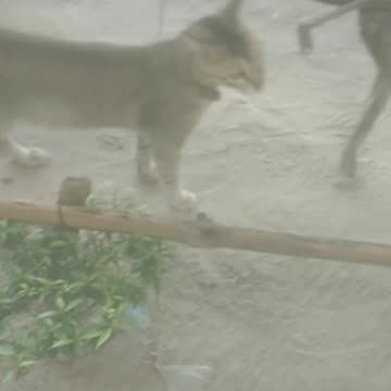 Look upon us and shelter us.