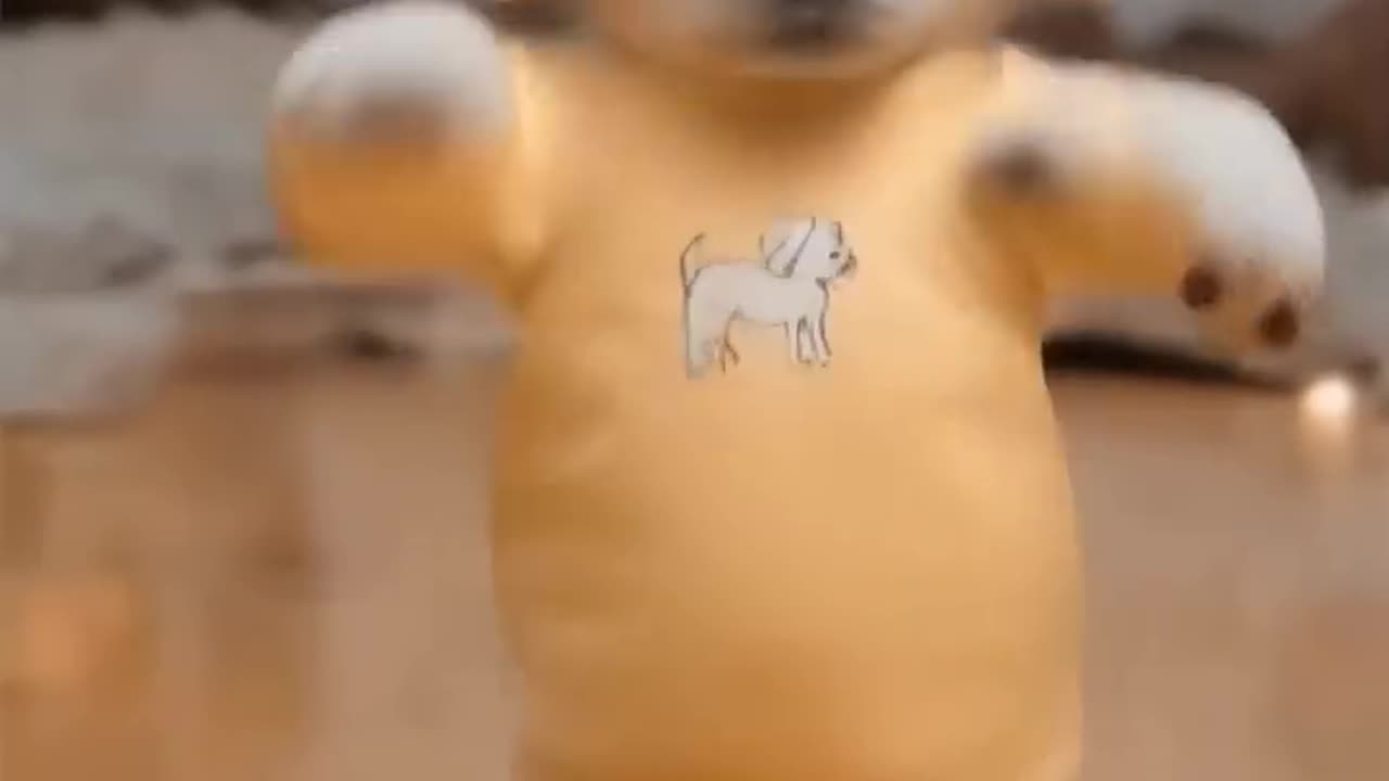 Cutie puppy dancing