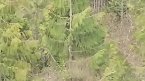 A wild viral clip is blowing up online right now