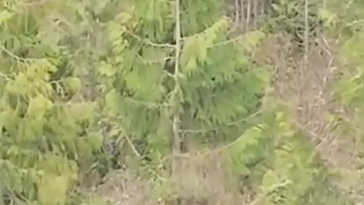 A wild viral clip is blowing up online right now