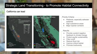 Regenerative Ag: Farming the Way Nature Intended, feat. Cynthia Daley