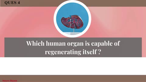 Think You Know It All? Take This General Knowledge Quiz Now! | G.k #2