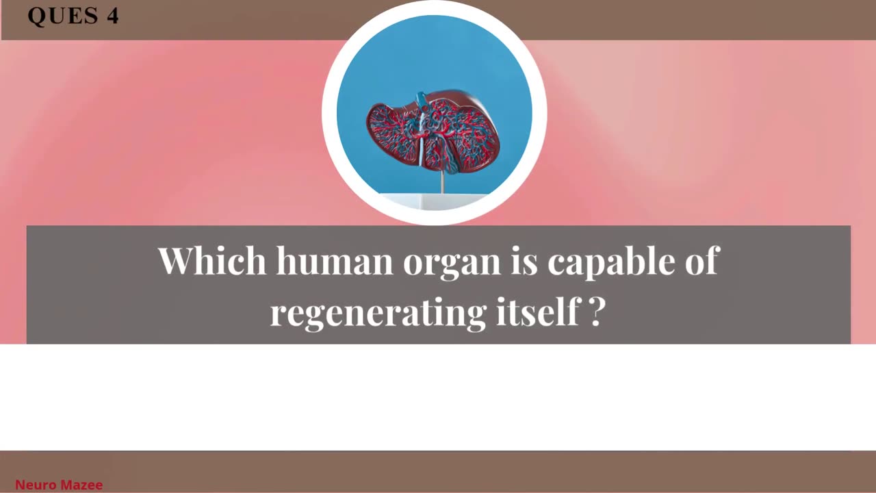 Think You Know It All? Take This General Knowledge Quiz Now! | G.k #2
