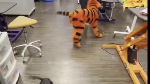 Tigger IRL