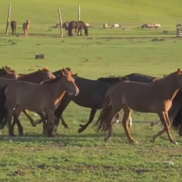 The Truth About Genghis Khan – Fast Facts