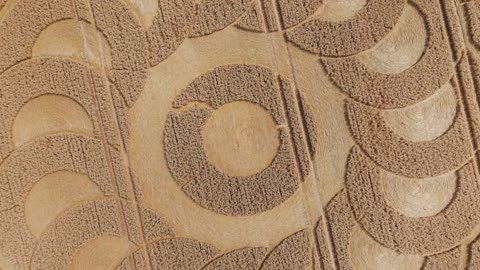 Crop Circle - Ware Farm Manor, Lyme Regis, Devon, Angleterre - 28 juin 2025 - 4k
