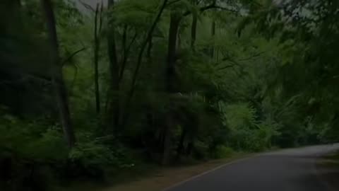 🙏✨ Daily Prayer for Guidance | Seeking God's Wisdom | InGodWeTrustDaily