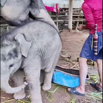 How is the little one doing?