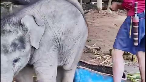 How is the little one doing?