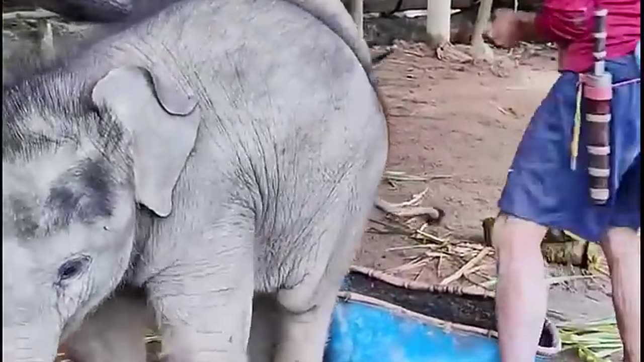 How is the little one doing?