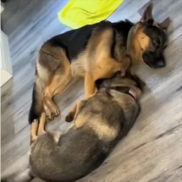 We all need a hug sometimes.. 😊