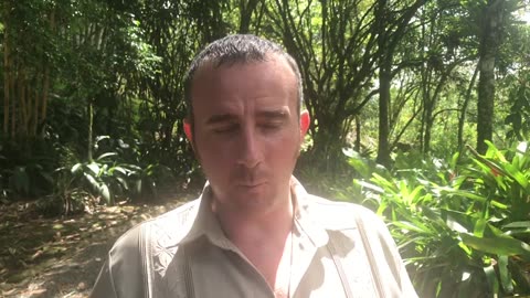 Curtis's Testimonial