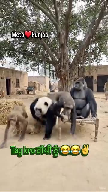 ग्रुप में एक दो गपशप होती है 😁😁 tag