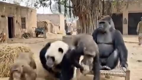 ग्रुप में एक दो गपशप होती है 😁😁 tag