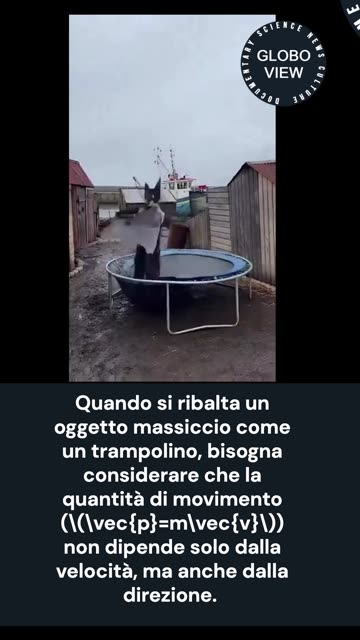 Salta sul trampolino e distrugge baracca, le leggi della Fisica dietro al video virale