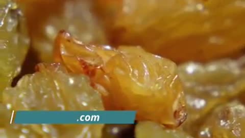 Benefits of Almonds and Raisins in winter