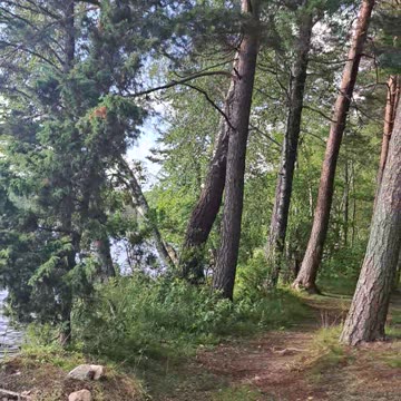 By the Water: Peaceful Like Paradise! Worth Visiting!