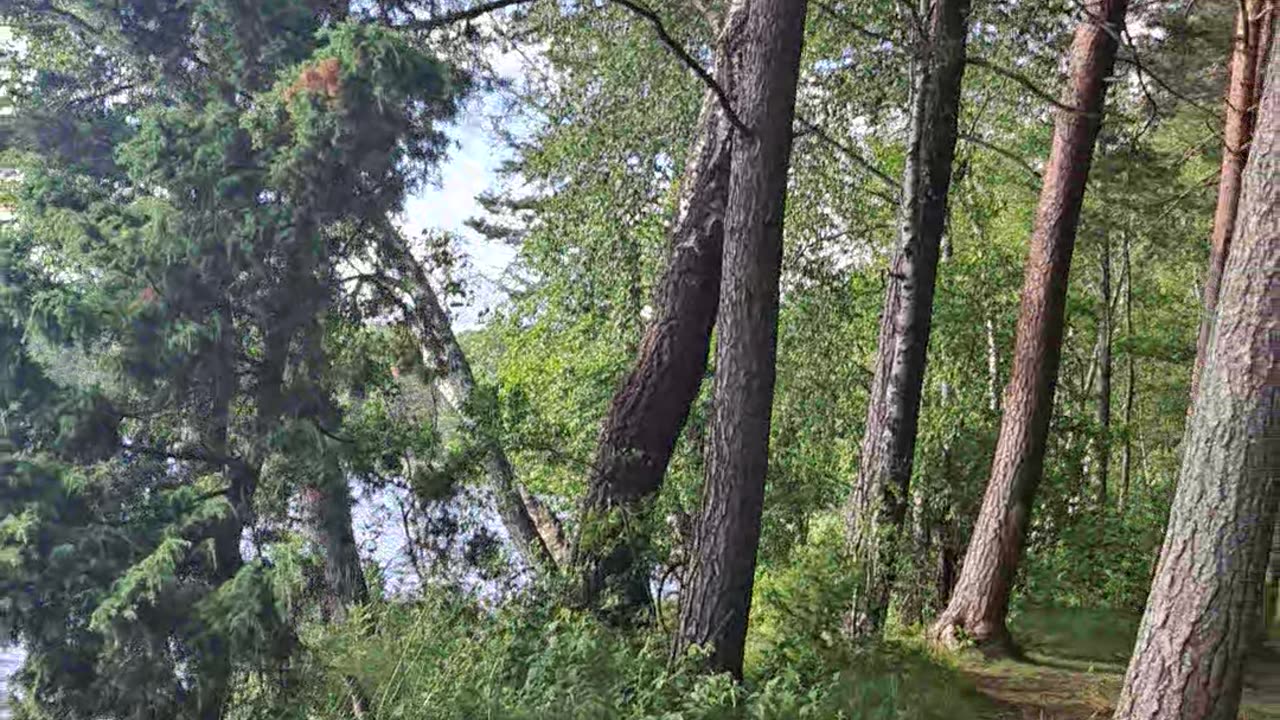 By the Water: Peaceful Like Paradise! Worth Visiting!