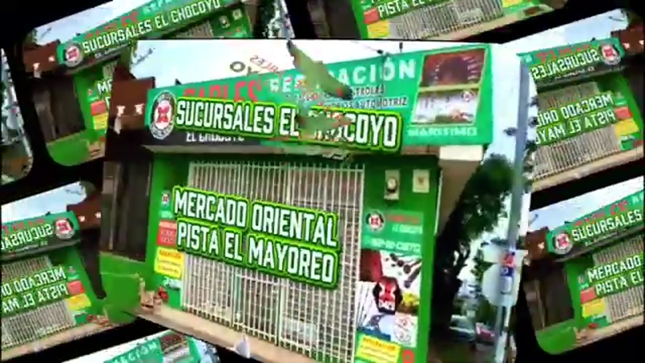 Zona Automotriz Edición 41