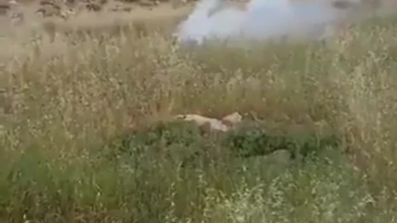 An Off-duty IOF Reservist and a Palestinian Flag
