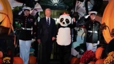 PANDA 🤬👾😈👹 ⚠️⚠️⚠️⚠️⚠️⚠️⚠️⚠️⚠️ CAUTION DISTURBING PICTURES