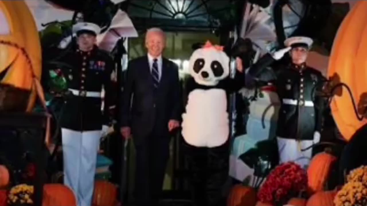 PANDA 🤬👾😈👹 ⚠️⚠️⚠️⚠️⚠️⚠️⚠️⚠️⚠️ CAUTION DISTURBING PICTURES