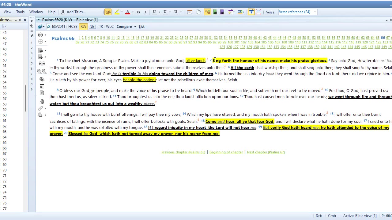 BIBLE STUDY PSALMS 65 And 66