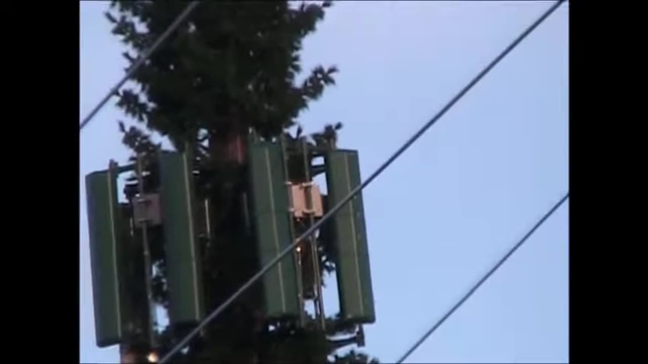 EM EMF Hidden Cell Towers That Look Like Trees~ Well Not Really