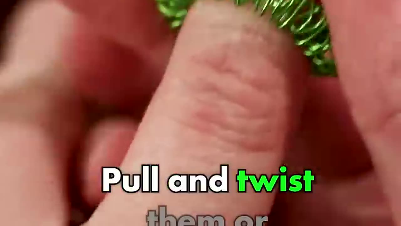 5 of the best stim fidgets.