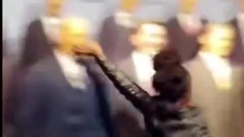Negress slaps White presidents faces - They hate us