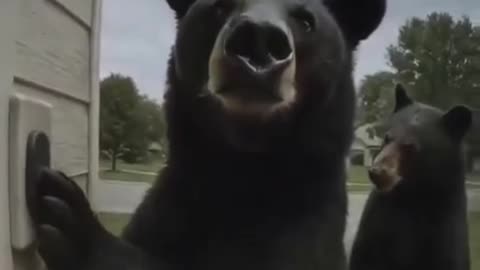 Open the door, bro. I just want to ask for the address