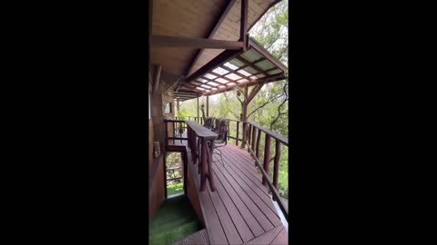 Tarzan builds a house. - Plus - a treehouse to die for - just WOW