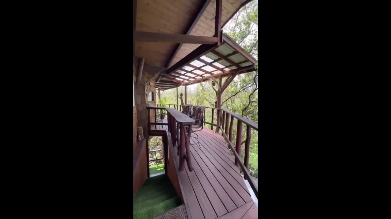 Tarzan builds a house. - Plus - a treehouse to die for - just WOW