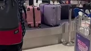 Viral: First stop Auckland #vlog