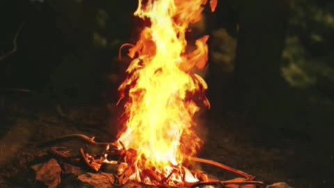 1 Hour Crackling Campfire Ambiance in the Woods 🔥 Relaxing Fire Sounds for Sleep or Meditation