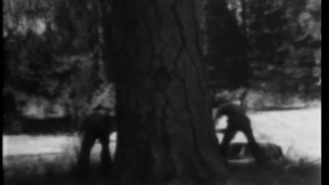 FIGHTING WESTERN PINE BEETLES - FIGHTING WESTERN PINE BEETLES - 33-167