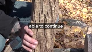 Use Your Knife as a Gauge