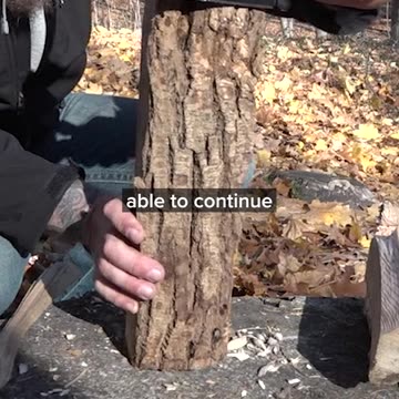 Use Your Knife as a Gauge