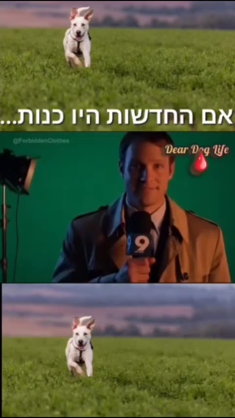 Years of media deception